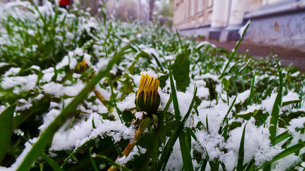 Similar image 21817371