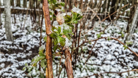 Similar image 21817372