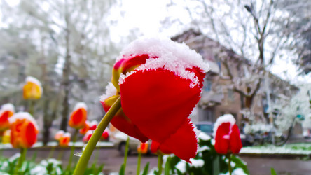 Similar image 21817373