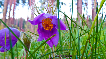 Similar image 21817375