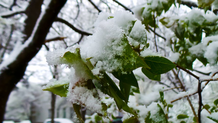 Similar image 21817379