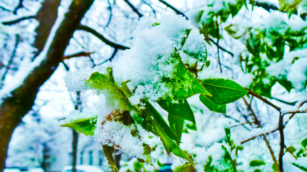 Similar image 21817380