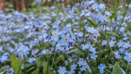 Similar image 21816495