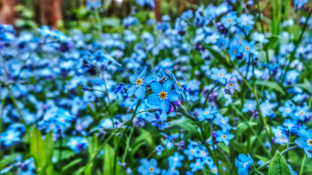 Similar image 21816498