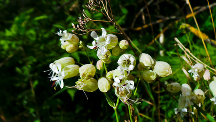 Similar image 21816499