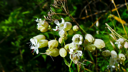 Similar image 21816500