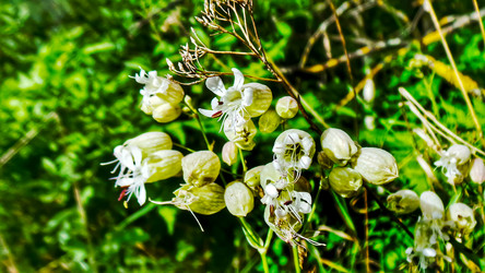 Similar image 21816501