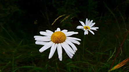 Similar image 21816502