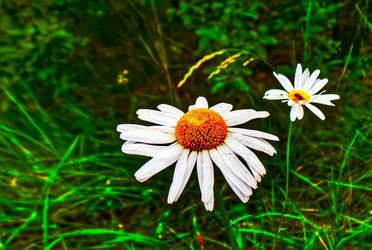 Similar image 21816503