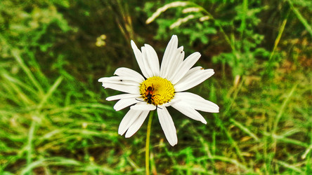 Similar image 21816505