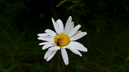 Similar image 21816921