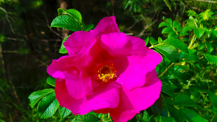 Similar image 21816922