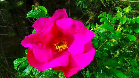 Similar image 21816923