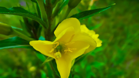 Similar image 21816926