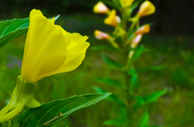 Similar image 21816927