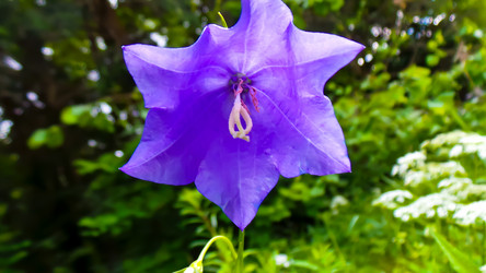 Similar image 21816928