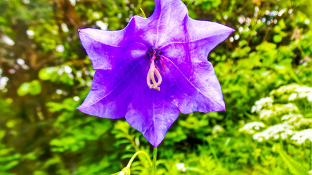 Similar image 21816929