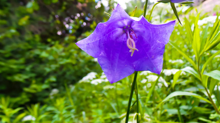 Similar image 21816930