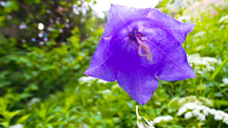 Similar image 21816931