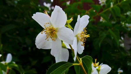 Similar image 21816932