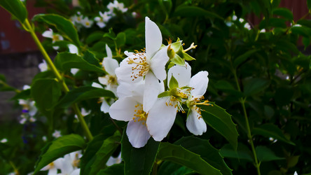 Similar image 21816933