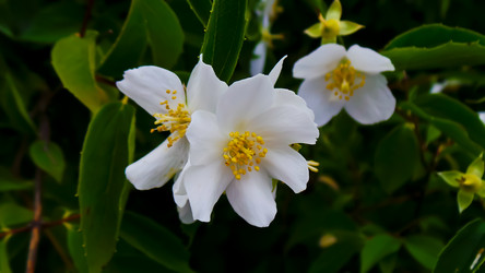 Similar image 21816934