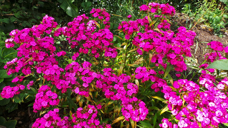 Similar image 21817196