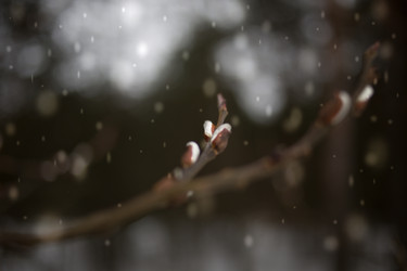 Similar image 21817197