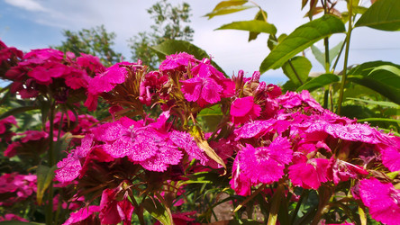 Similar image 21817198