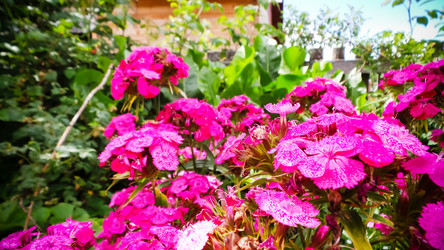 Similar image 21817199