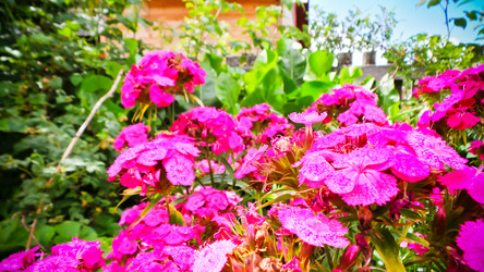 Similar image 21817200