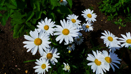 Similar image 21817201