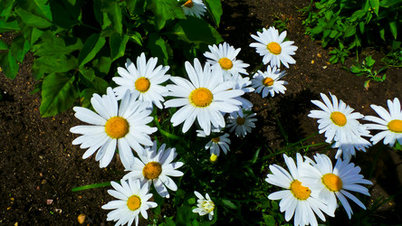 Similar image 21817202