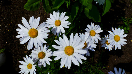 Similar image 21817203