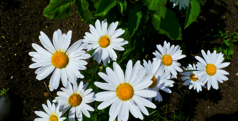 Similar image 21817204