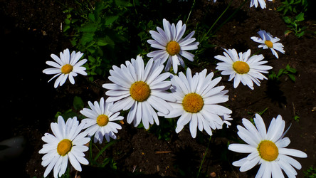 Similar image 21817205