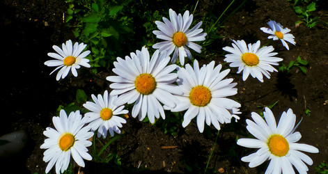 Similar image 21817206