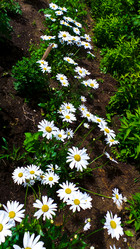 Similar image 21817207