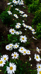 Similar image 21817208