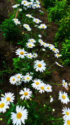 Similar image 21817209