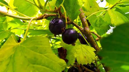 Similar image 21817210