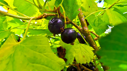 Similar image 21817211