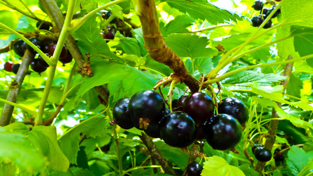 Similar image 21817212