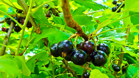 Similar image 21817213