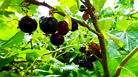 Similar image 21817214