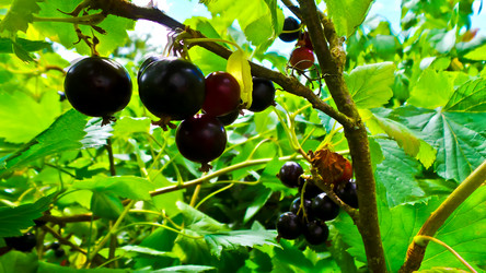 Similar image 21817215