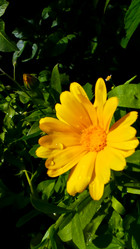 Similar image 21817216