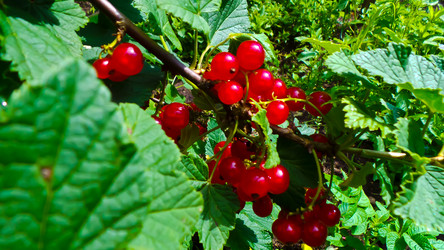 Similar image 21817218