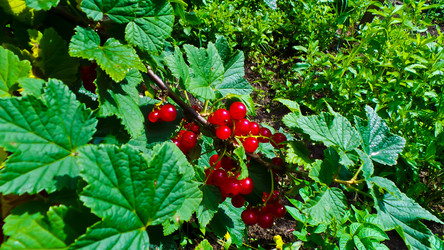 Similar image 21817219