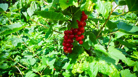 Similar image 21817220